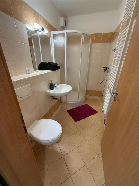 Koupelna se sprchovým koutem a WC